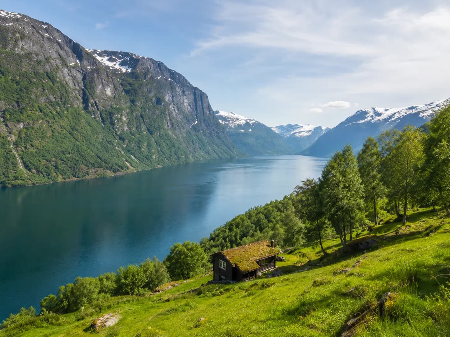 Green Norwegian fjord landscape in summer